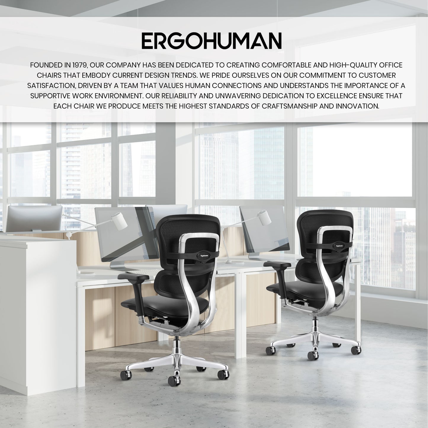 LE10ERGLO-GEN2 Ergohuman Mid Back Leather Chair By Eurotech