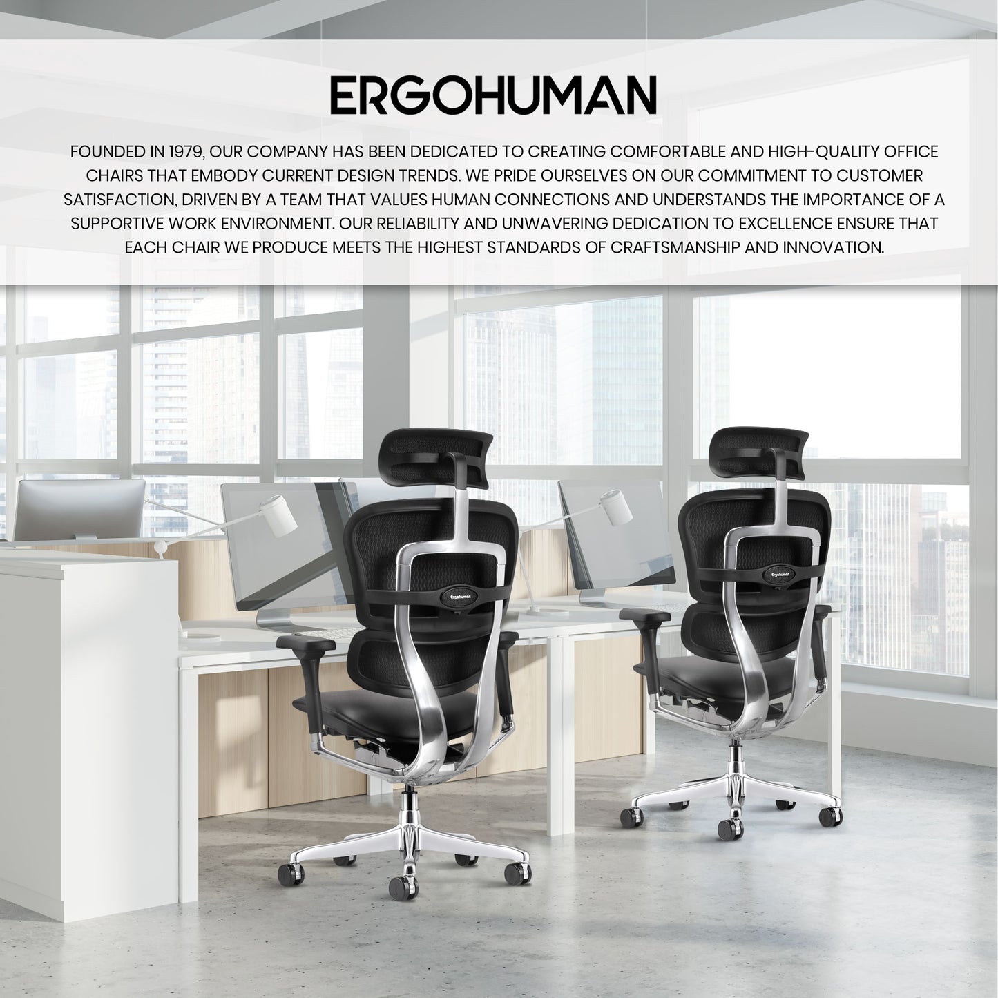 LE9ERG-GEN2 Ergohuman High Back Leather Chair By Eurotech