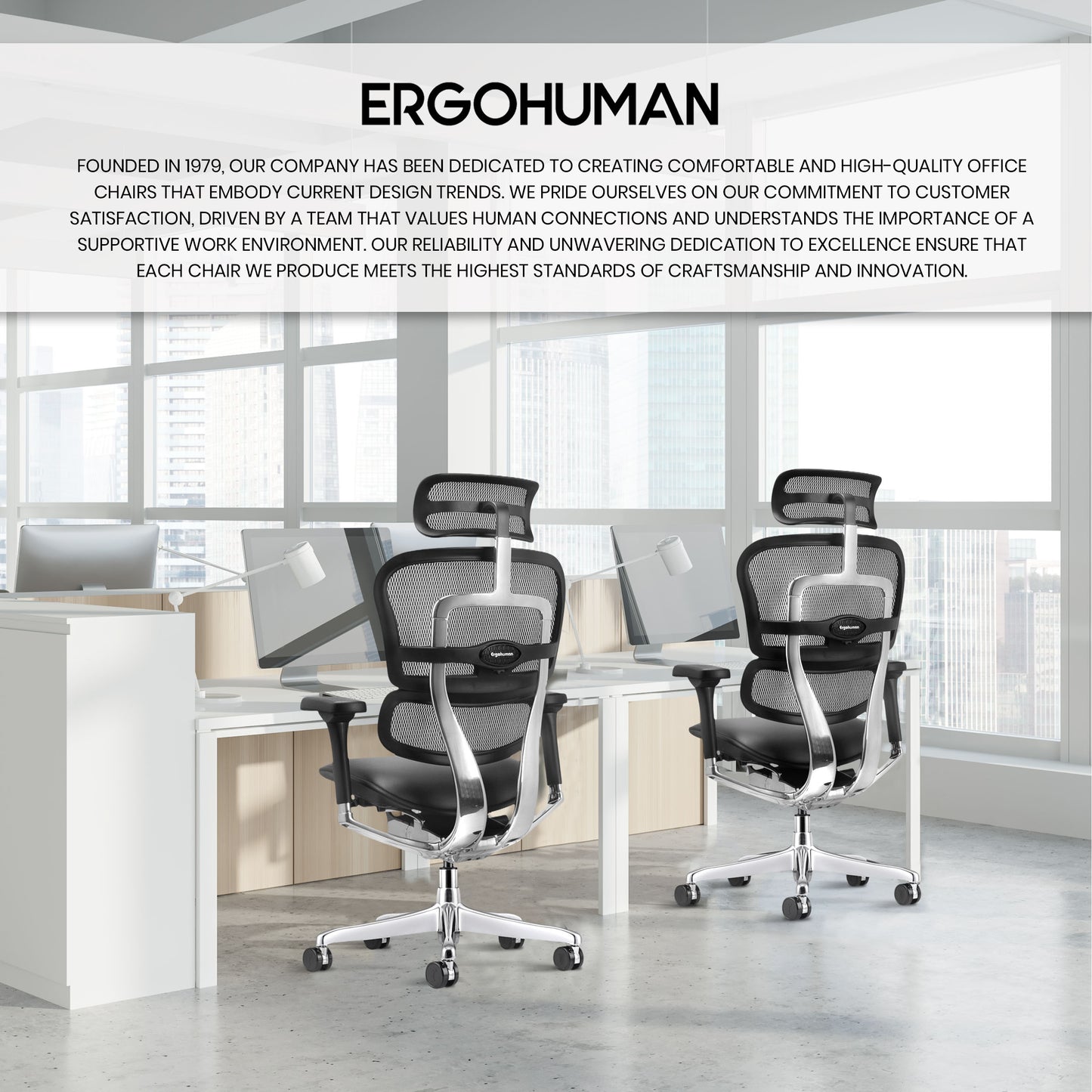 LEM4ERG-GEN2 Ergohuman High Back Leather Seat Mesh Back Chair By Eurotech