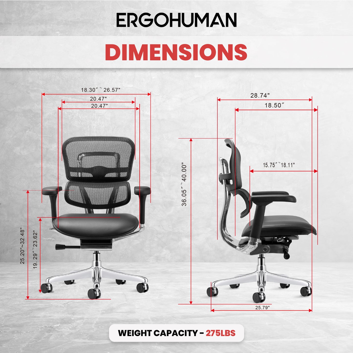 LEM6ERGLO-GEN2 Ergohuman Mid Back Leather Seat Mesh Back Chair By Eurotech