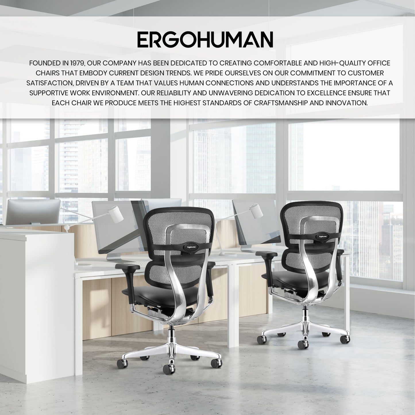 LEM6ERGLO-GEN2 Ergohuman Mid Back Leather Seat Mesh Back Chair By Eurotech