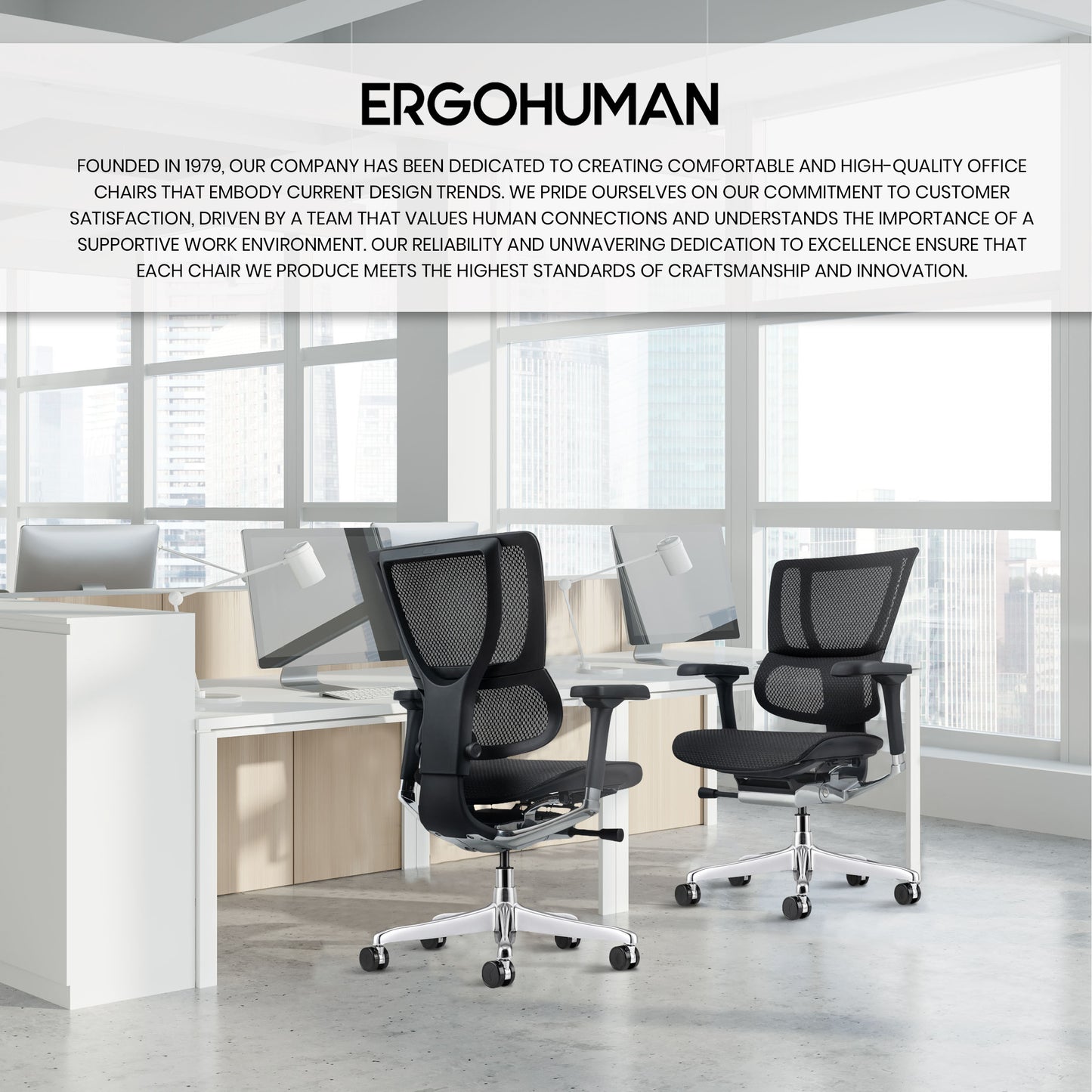 ME3ERGLO Ergohuman Extreme Mid Back