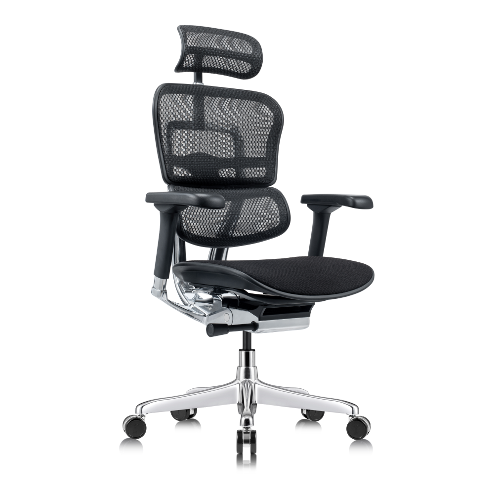 ERGOHUMAN™ High Back GEN 2 Tempur-Pedic Chair