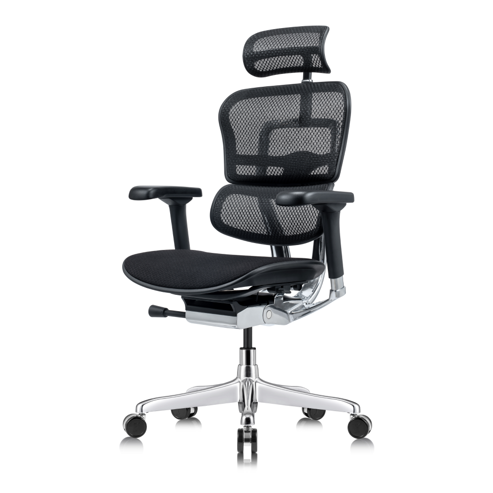 ERGOHUMAN™ High Back GEN 2 Tempur-Pedic Chair